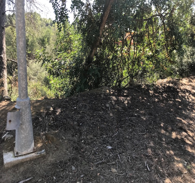 Image4