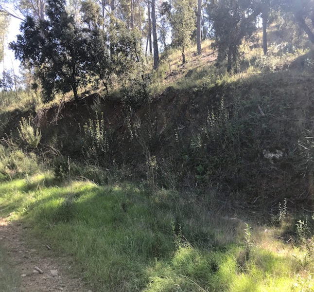 undefined - Image 3