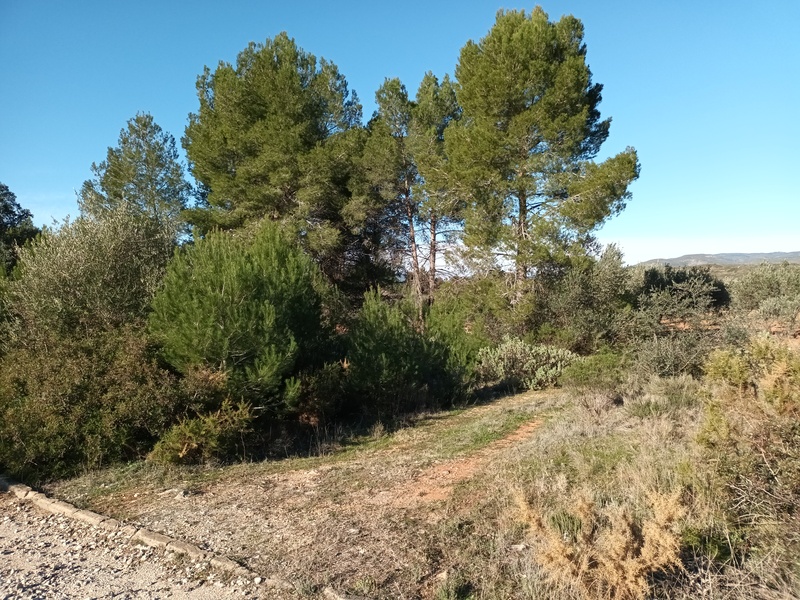 Suelo urbanizable residencial en Llanorel