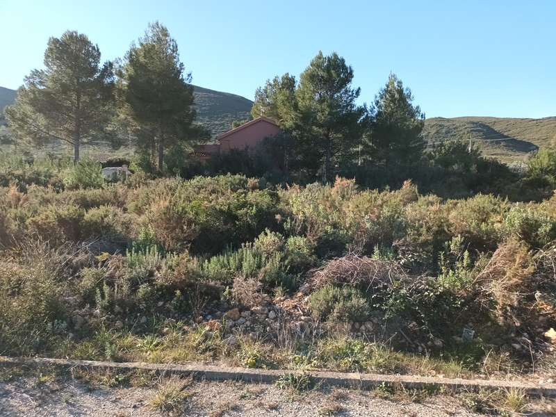 Suelo urbanizable residencial en Llanorel