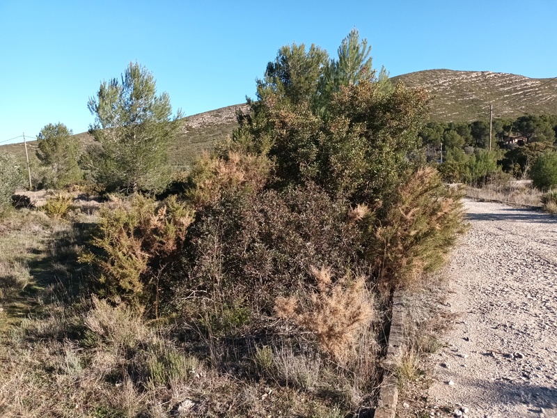 Suelo en Macastre, Valencia/València