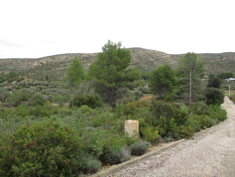 Suelo urbanizable residencial en Llanorel