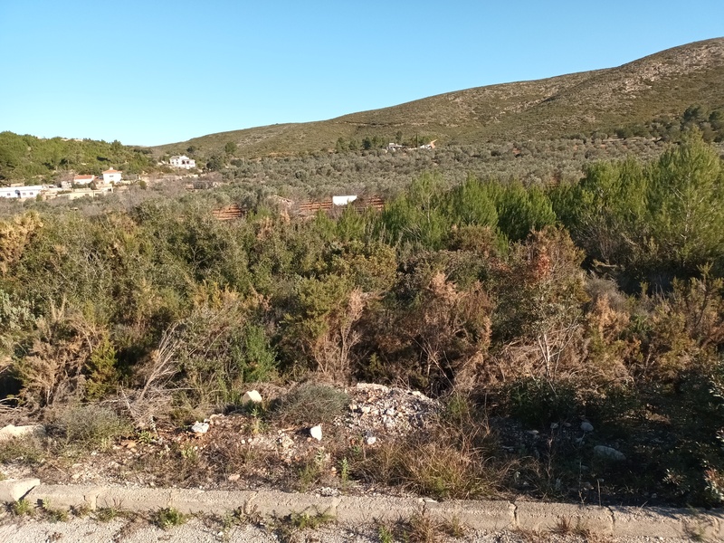 Suelo urbanizable residencial en Llanorel