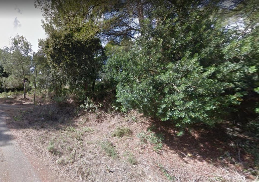 undefined - Image 6