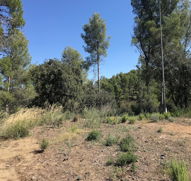 undefined - Image 6