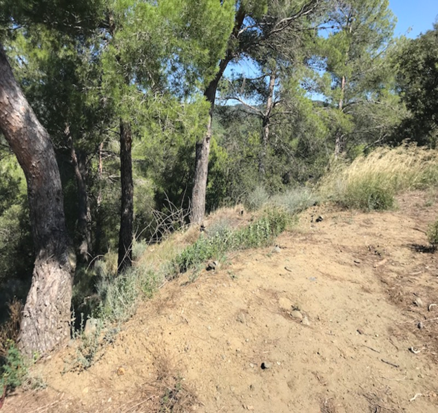 undefined - Image 5