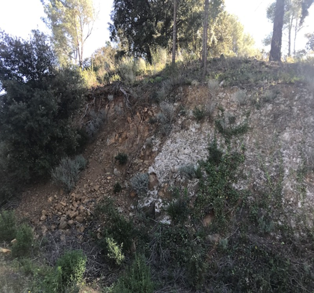 undefined - Image 5