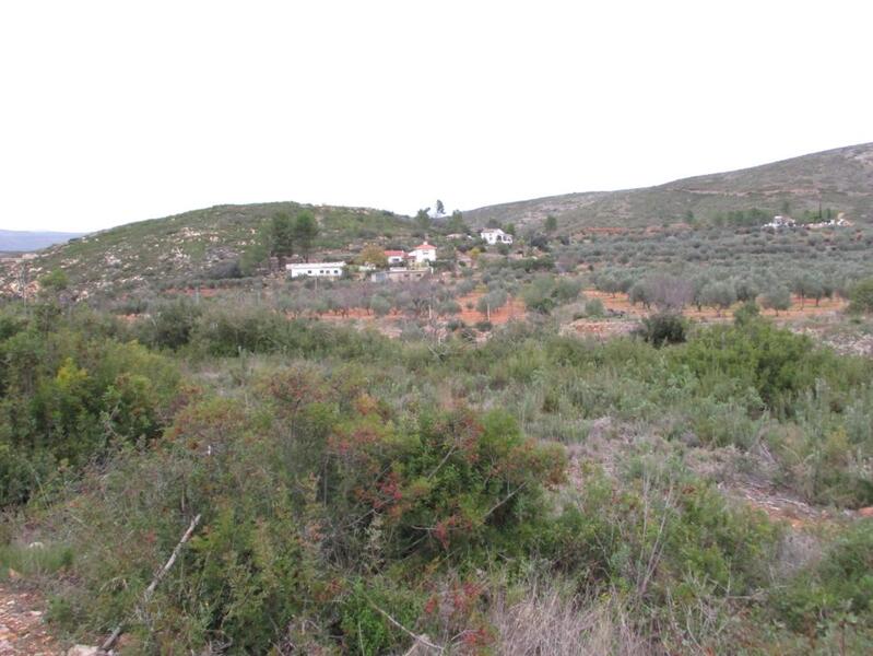 Suelo urbanizable residencial en Llanorel