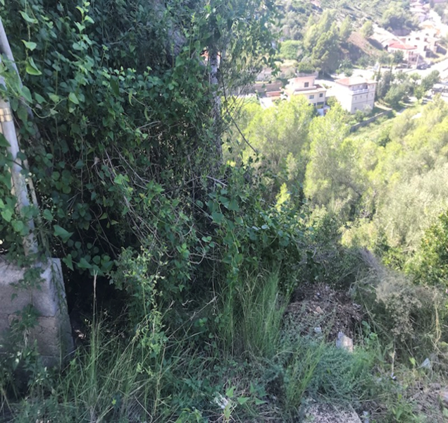 undefined - Image 2
