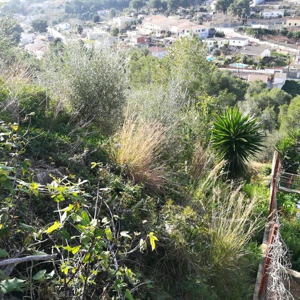 undefined - Image 10