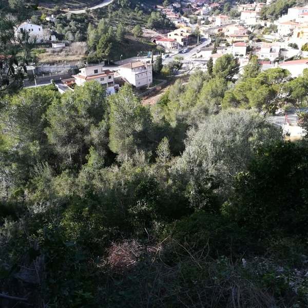 undefined - Image 8