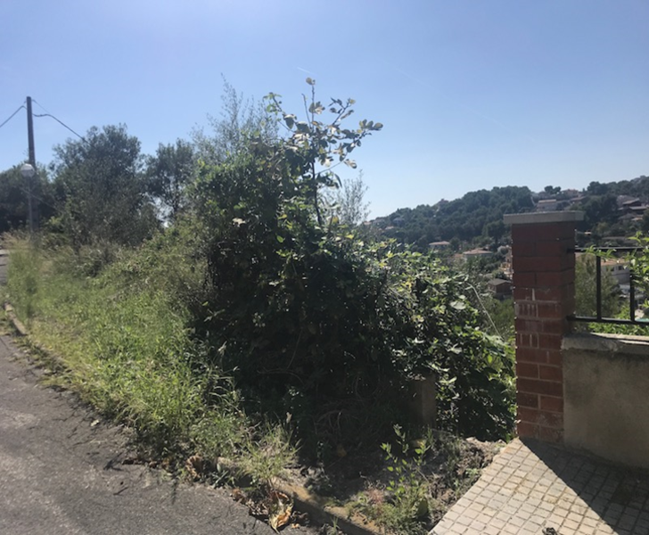 undefined - Image 5