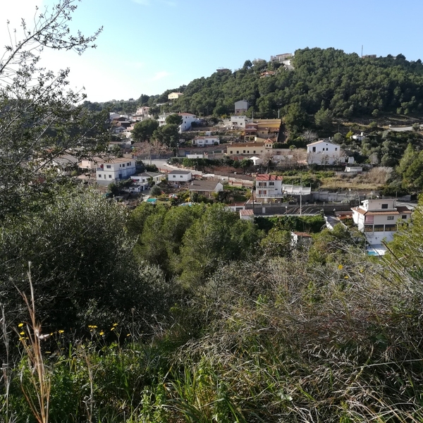 undefined - Image 11