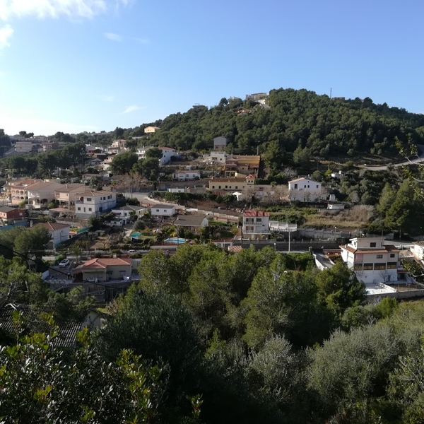 undefined - Image 6