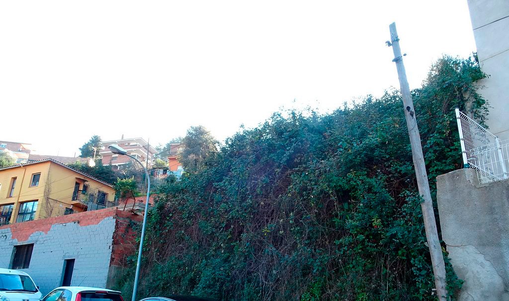undefined - Image 10