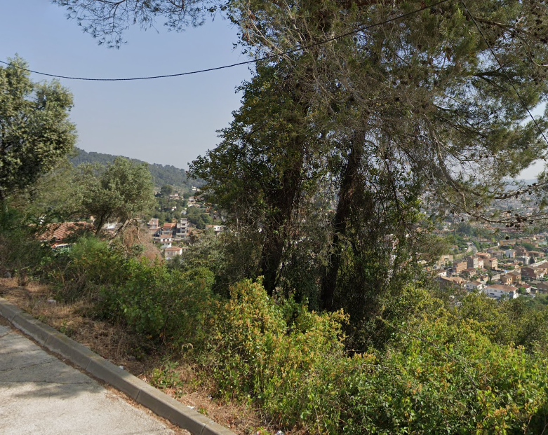 undefined - Image 8