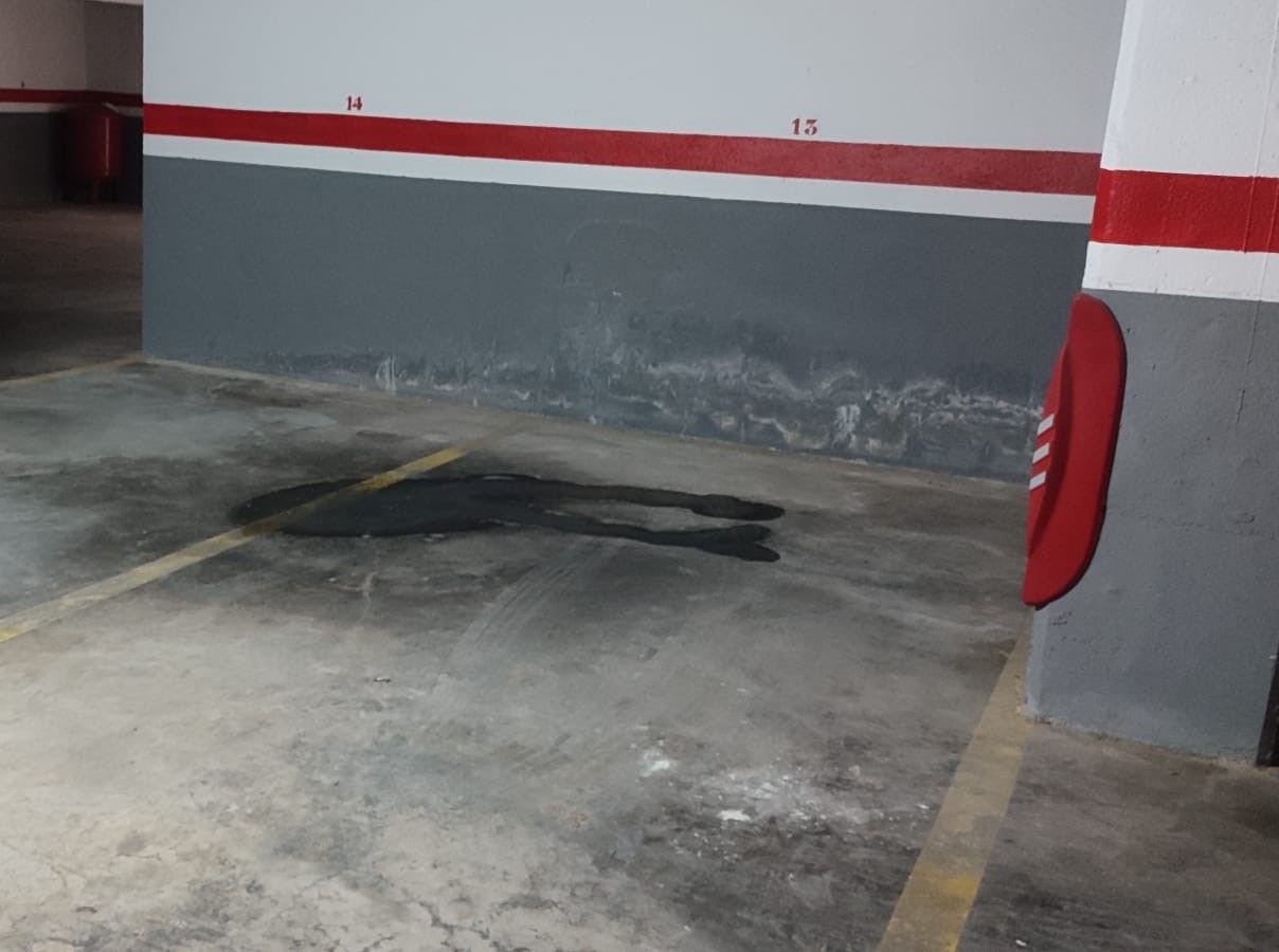 undefined - Image 6