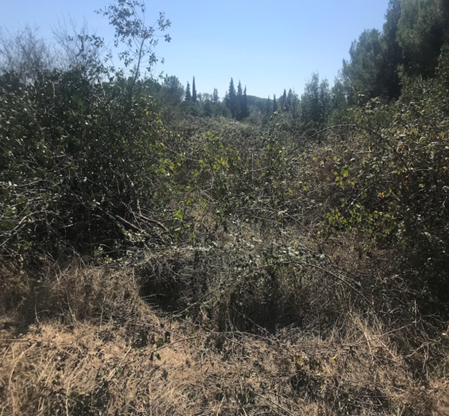  - Image 6