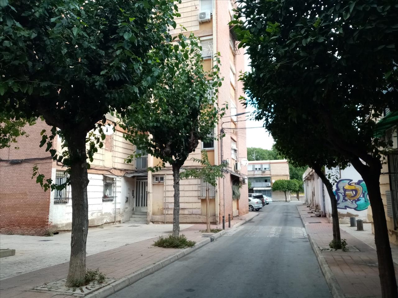 Image3
