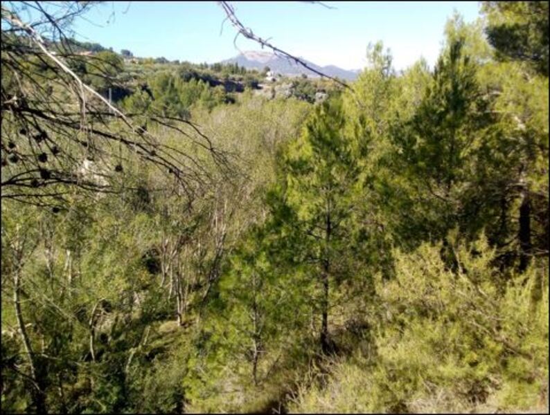 Moderna Propriedade Nova em Penàguila, Alicante - Image 3