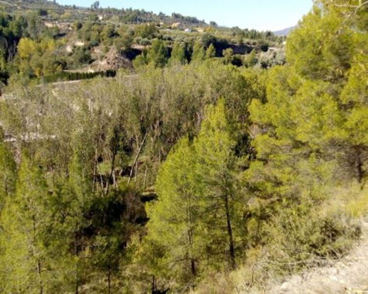 Suelo en Penàguila, Alicante/Alacant