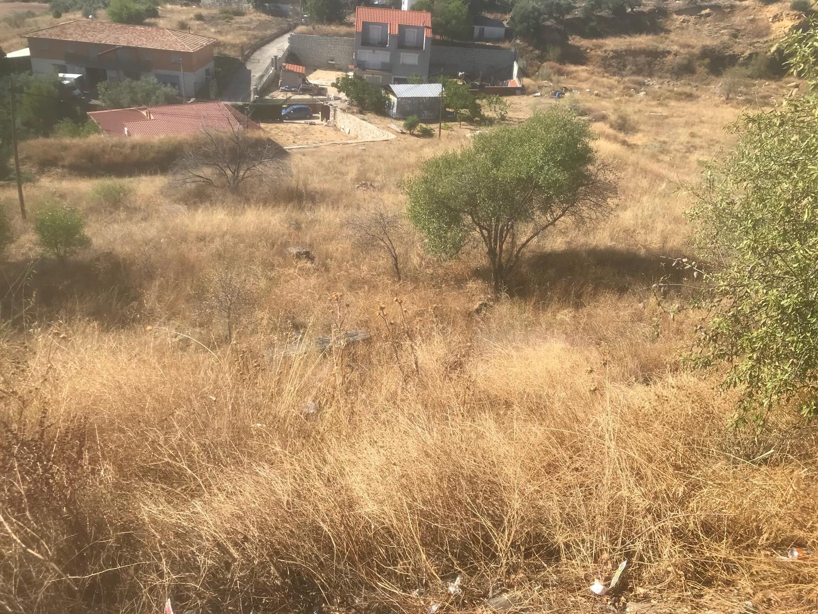 undefined - Image 12