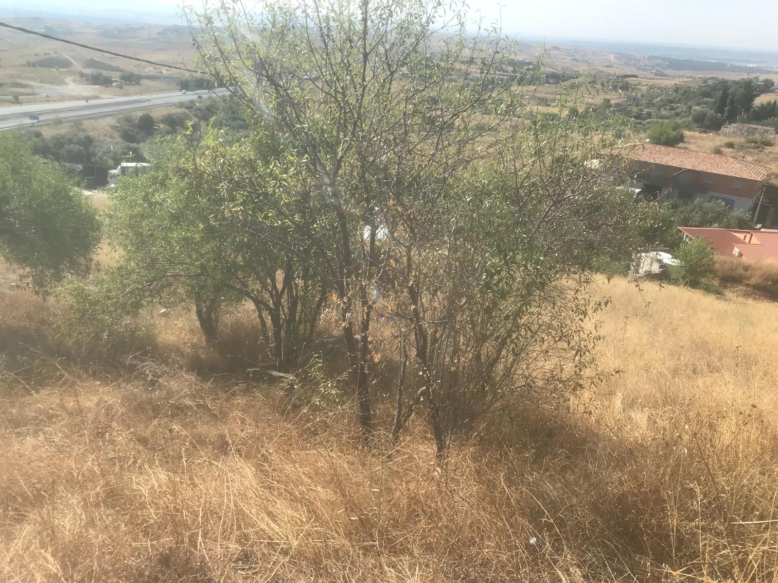 undefined - Image 11