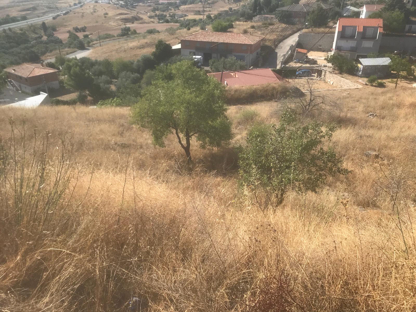 undefined - Image 7