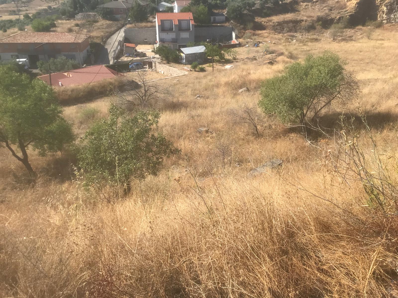 undefined - Image 6