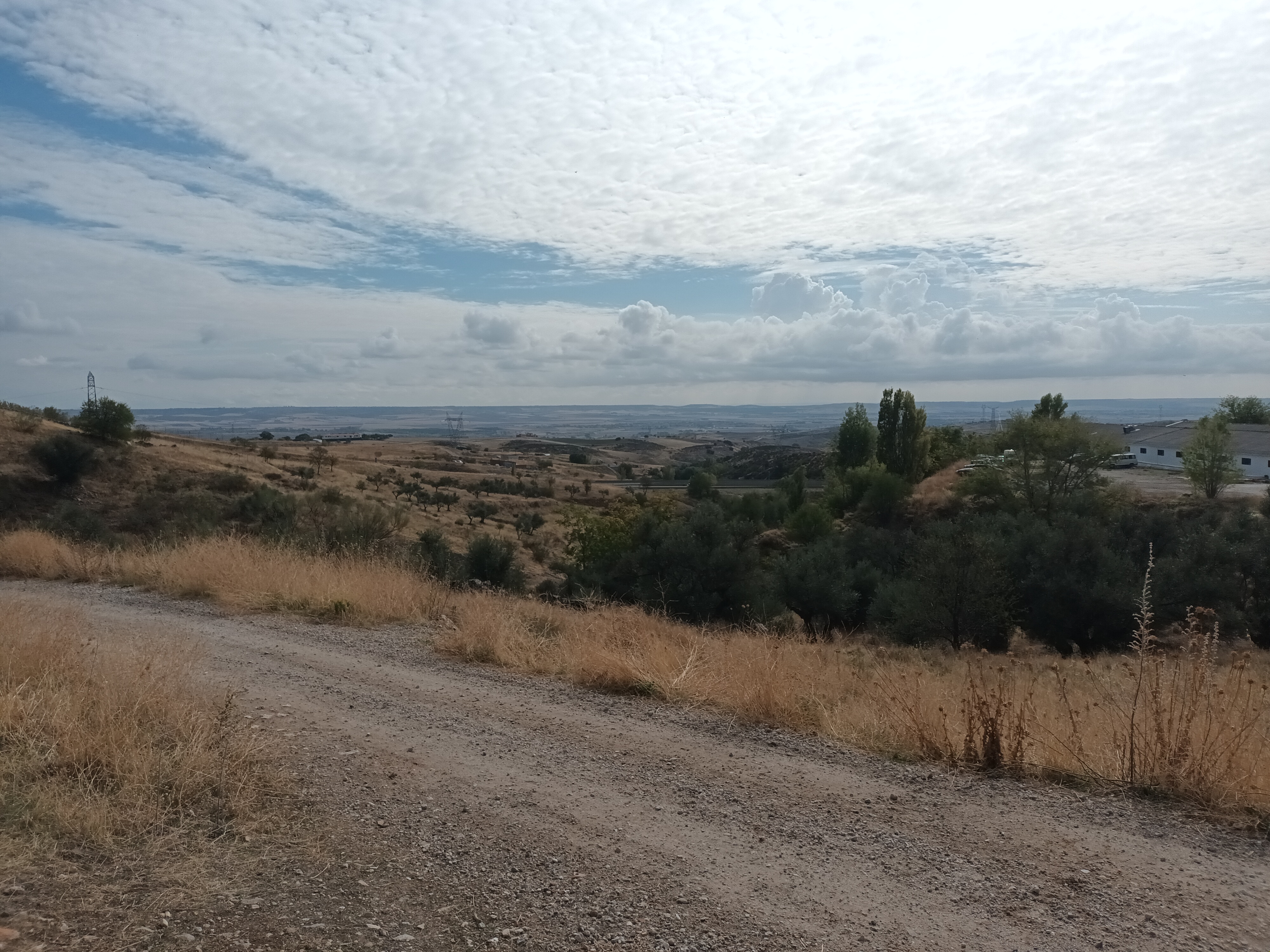 undefined - Image 4