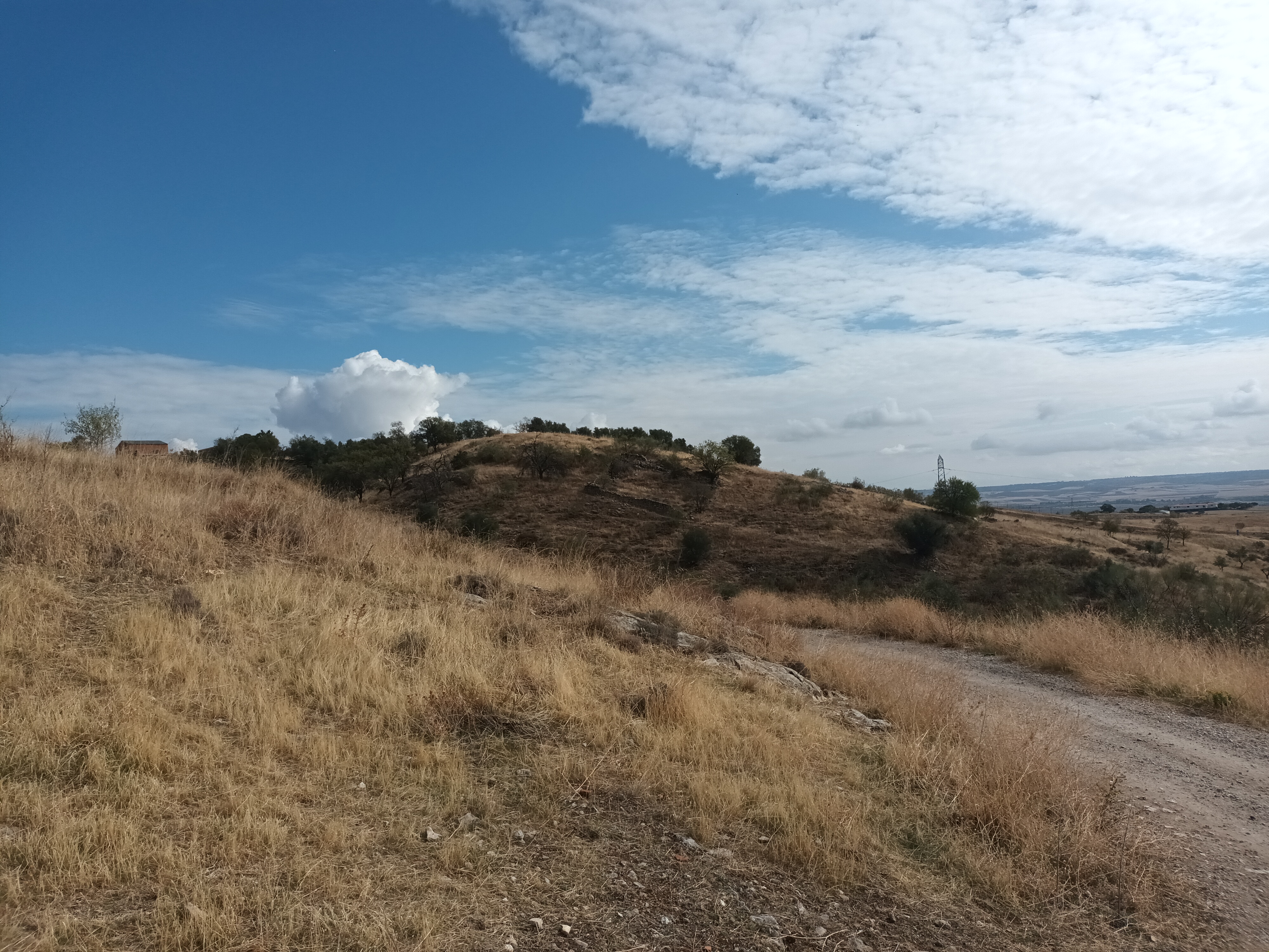undefined - Image 3