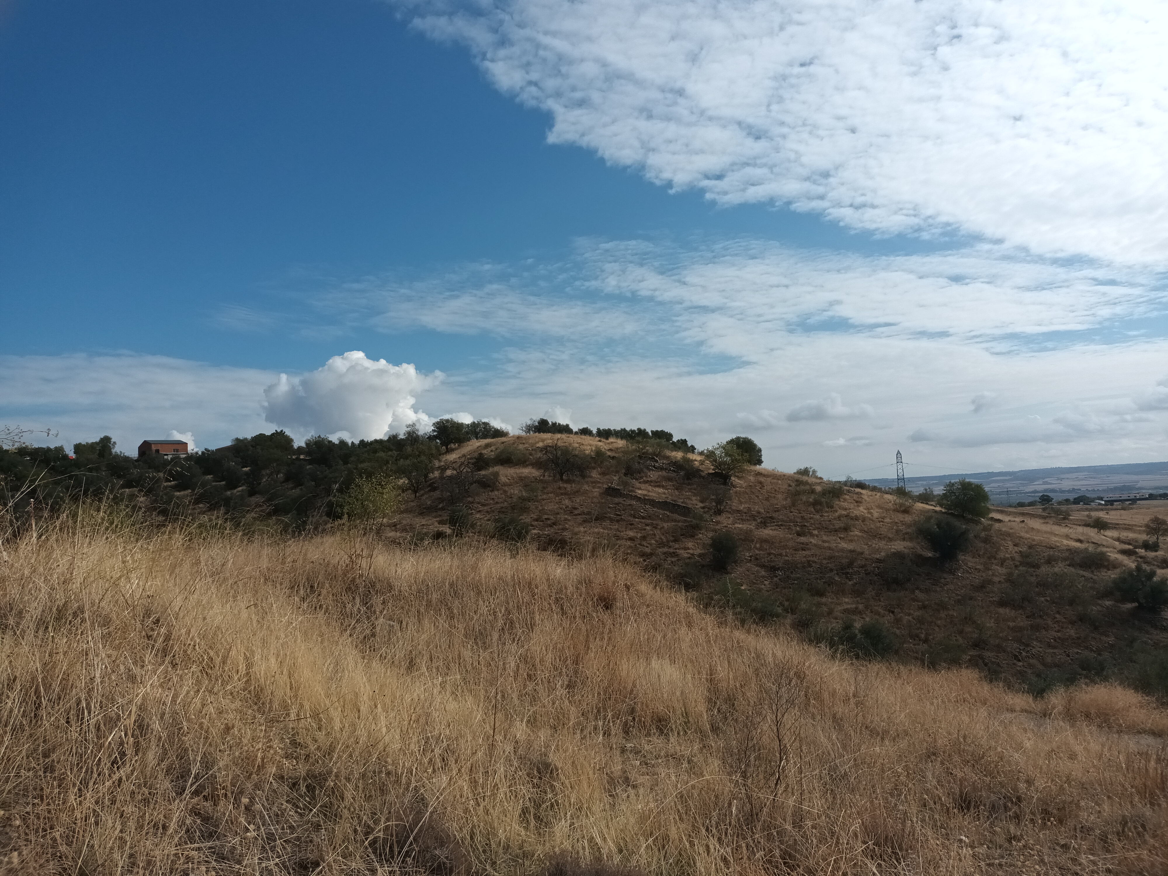 undefined - Image 2