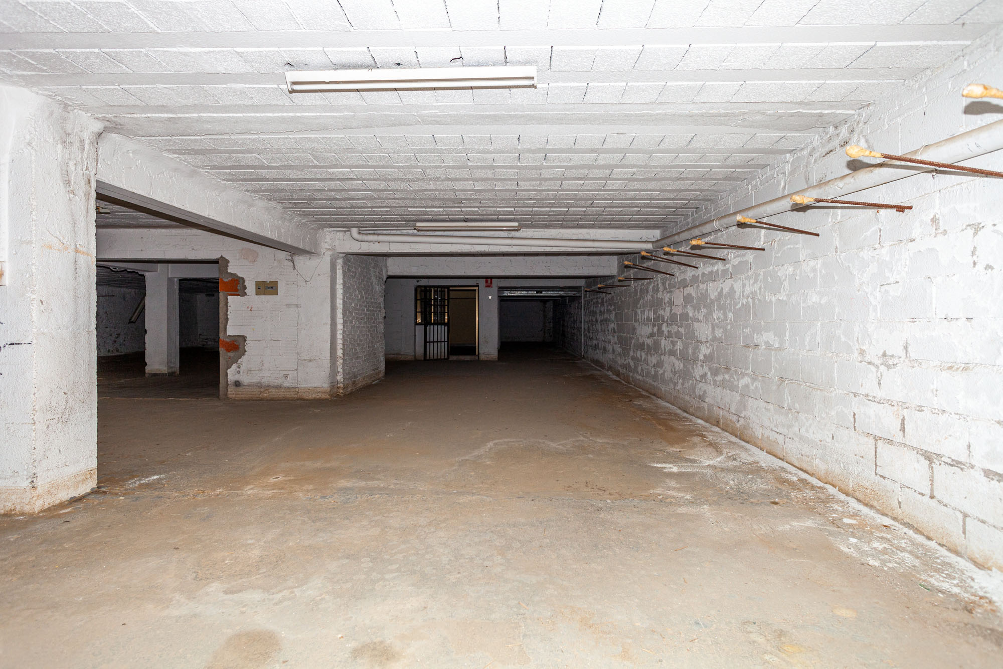 - Image 4
