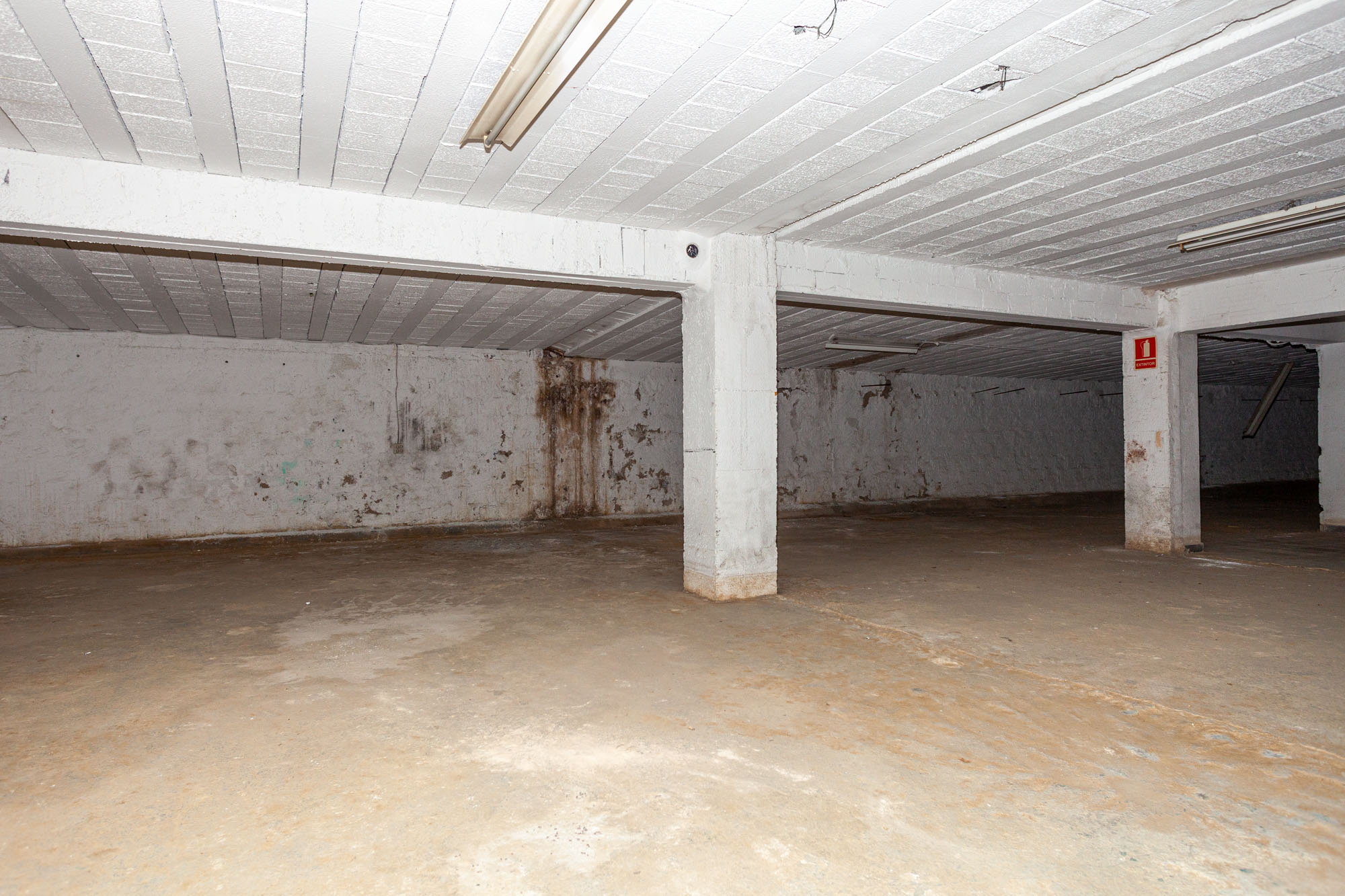 - Image 5