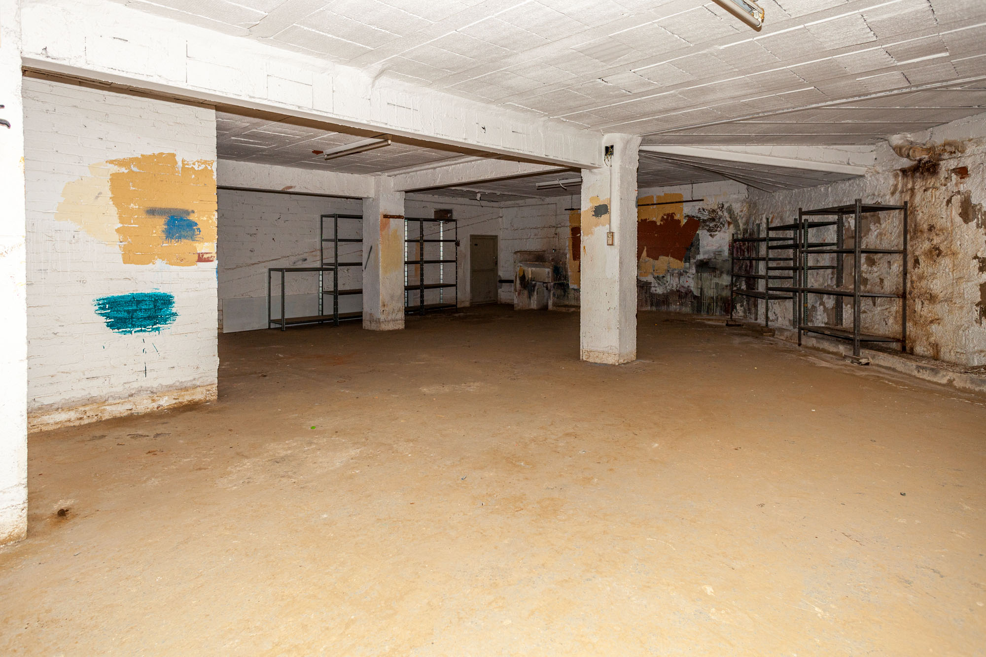 - Image 7