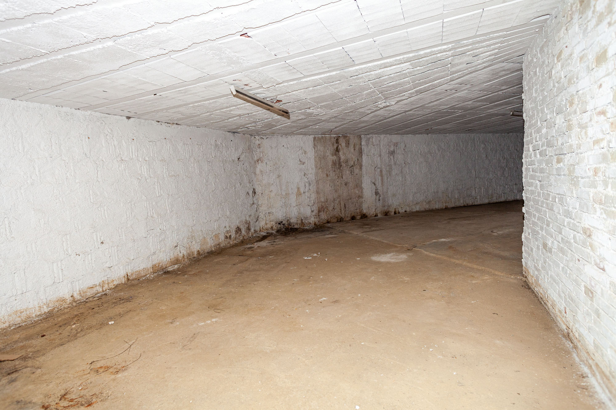- Image 10