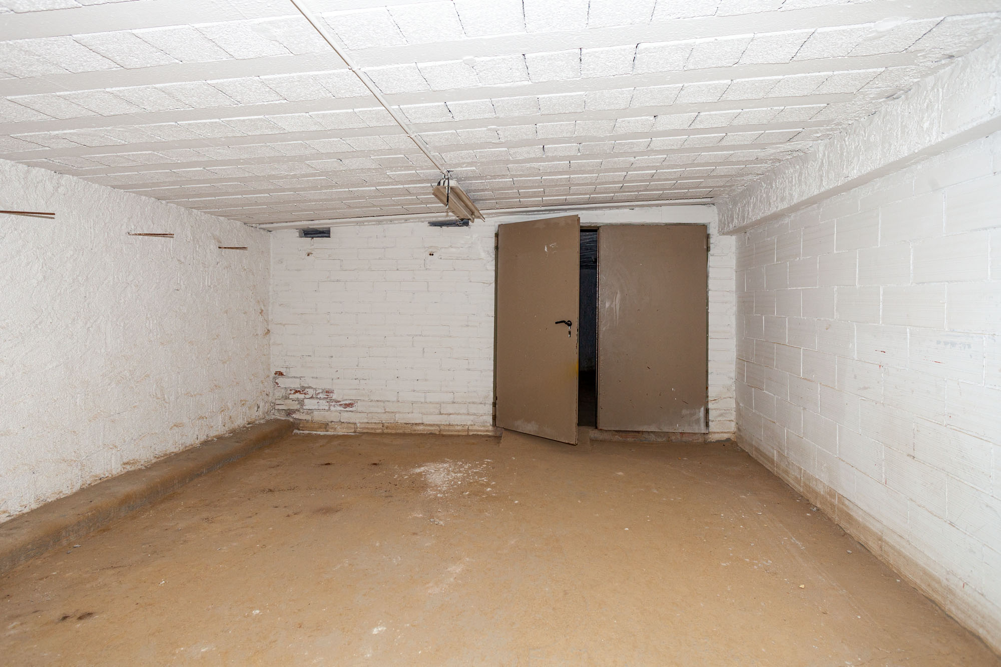 - Image 11