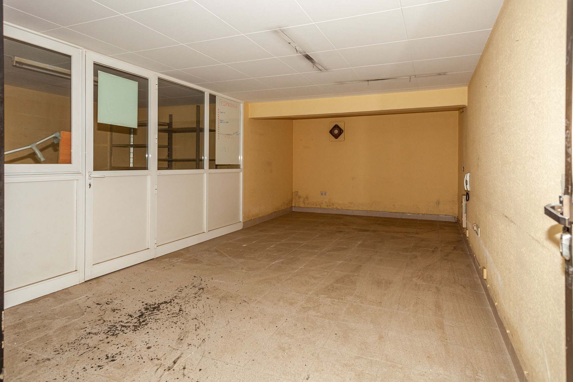 - Image 12