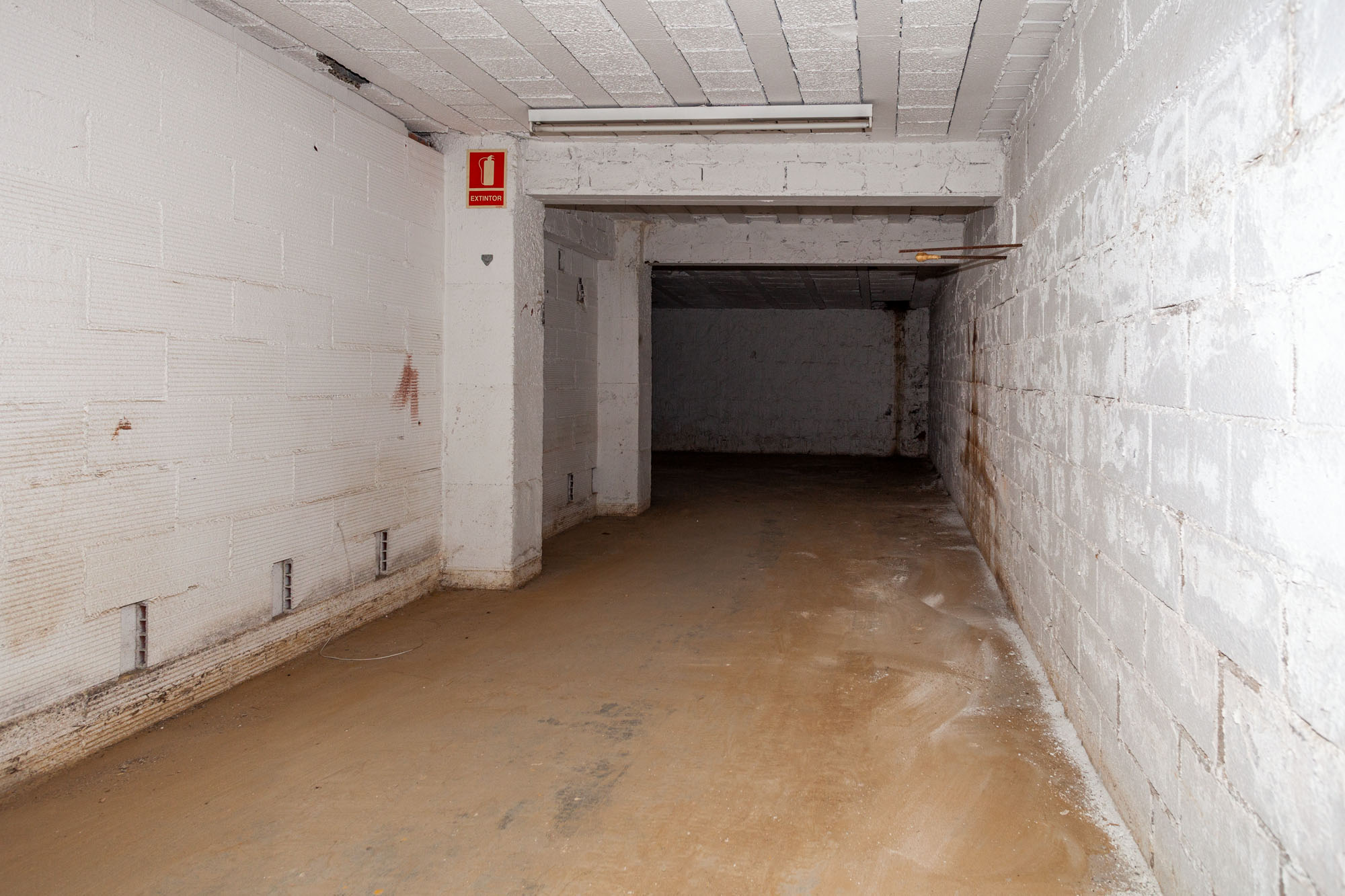 - Image 15