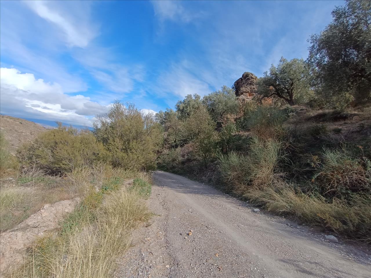 Finca rústica en Gamonal. Huercal-Ugíjar