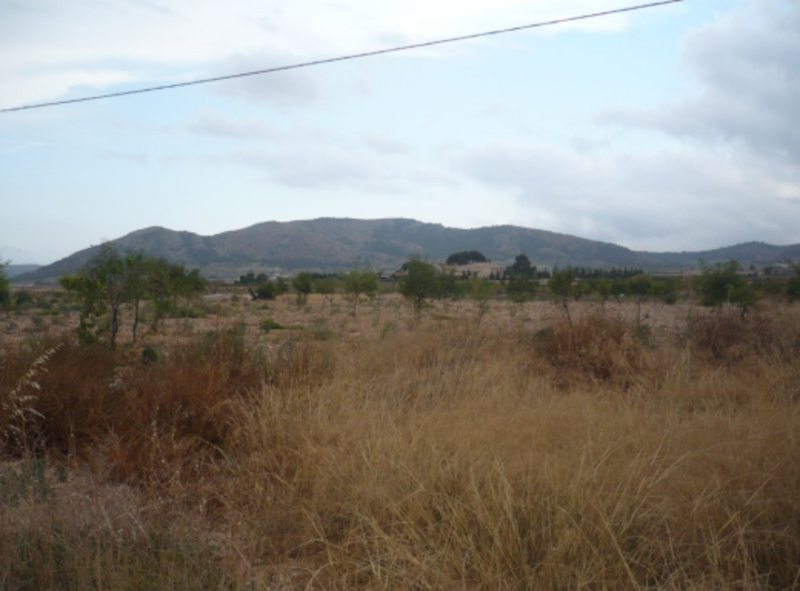 undefined - Image 7