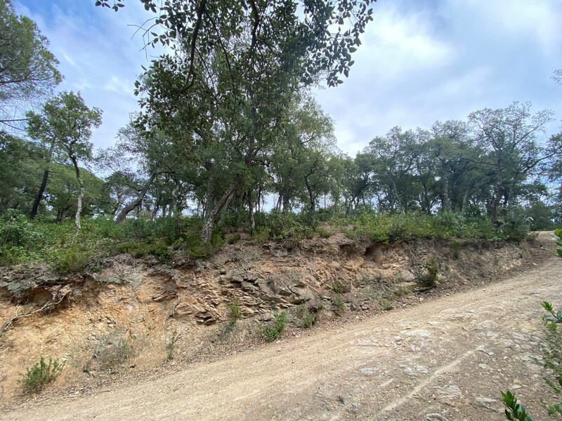  - Image 5
