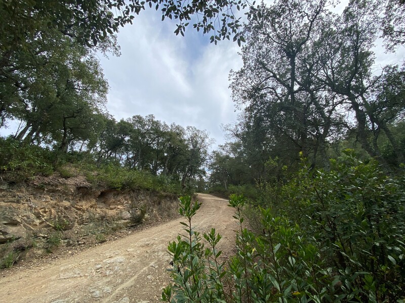  - Image 1