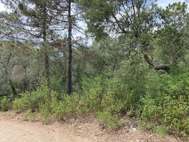  - Image 2