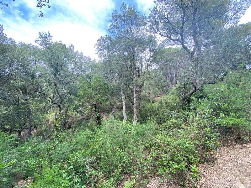 - Image 3