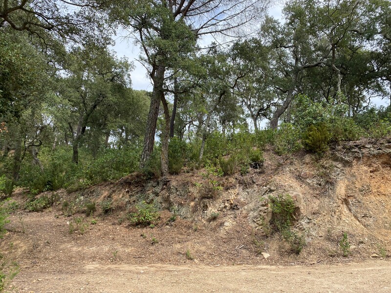  - Image 4