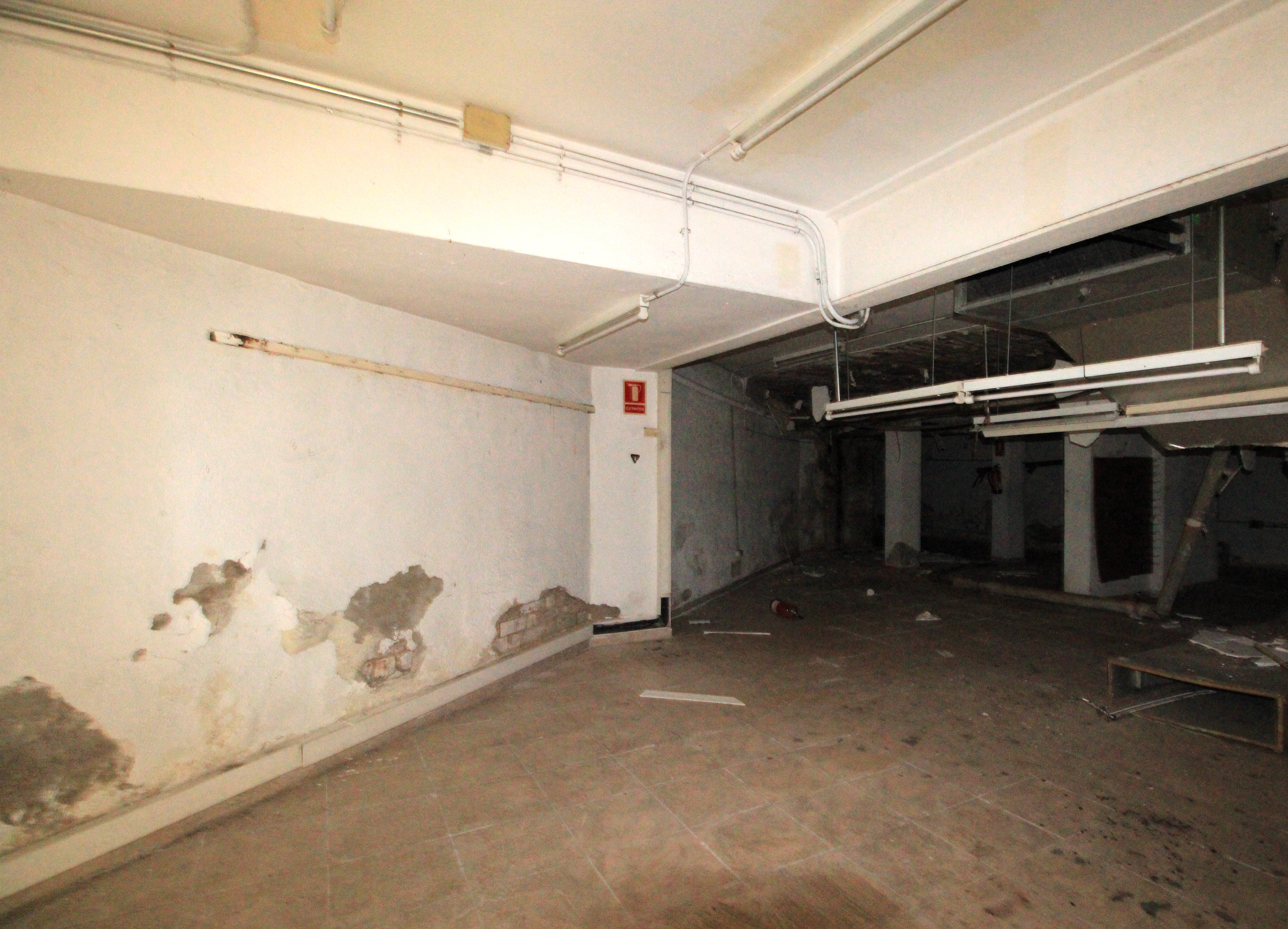 - Image 5