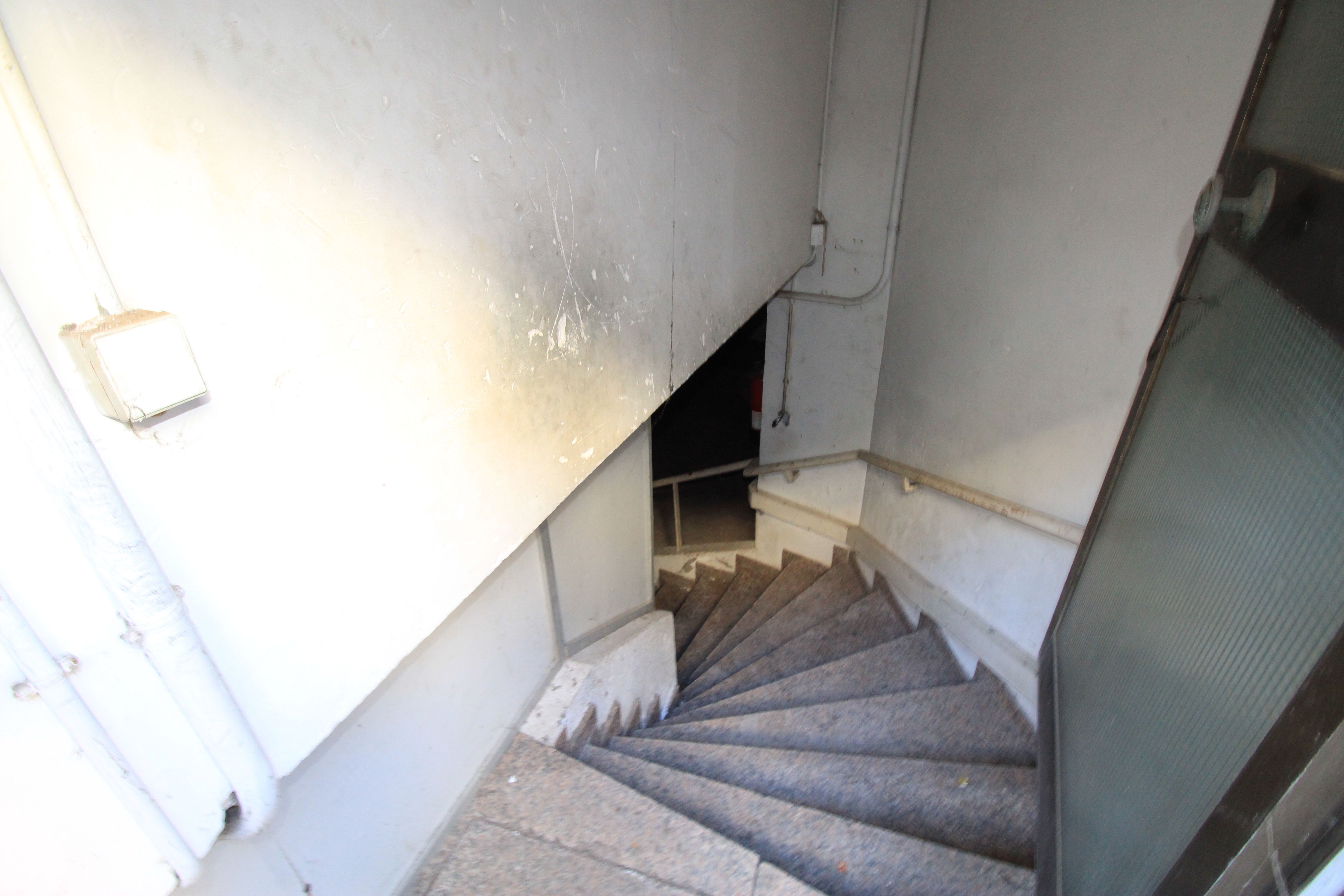 - Image 12