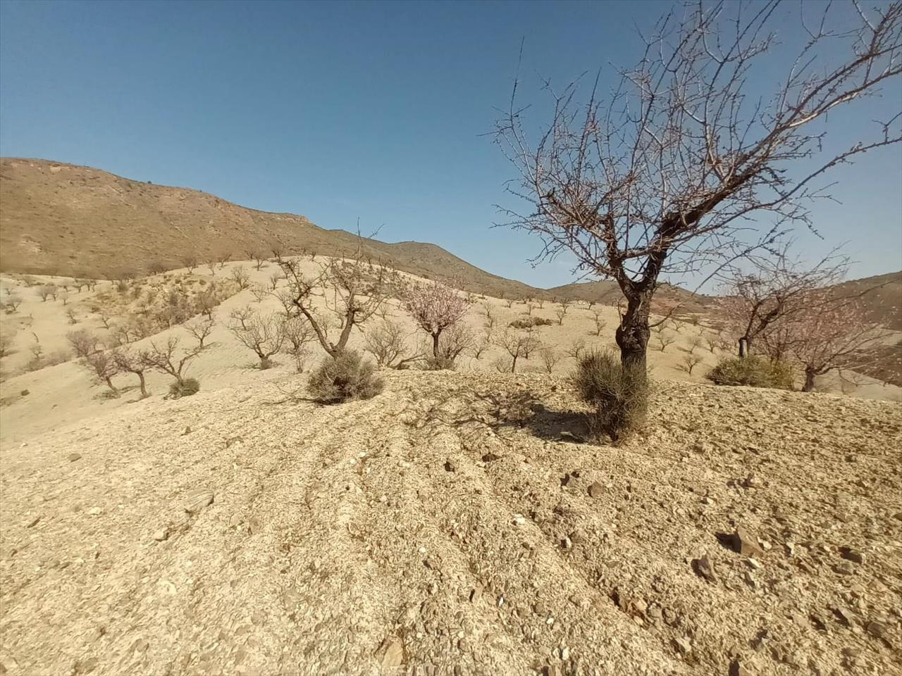 Finca rústica en Jara. Huercal-Overa