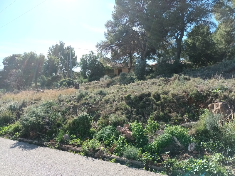 undefined - Image 7